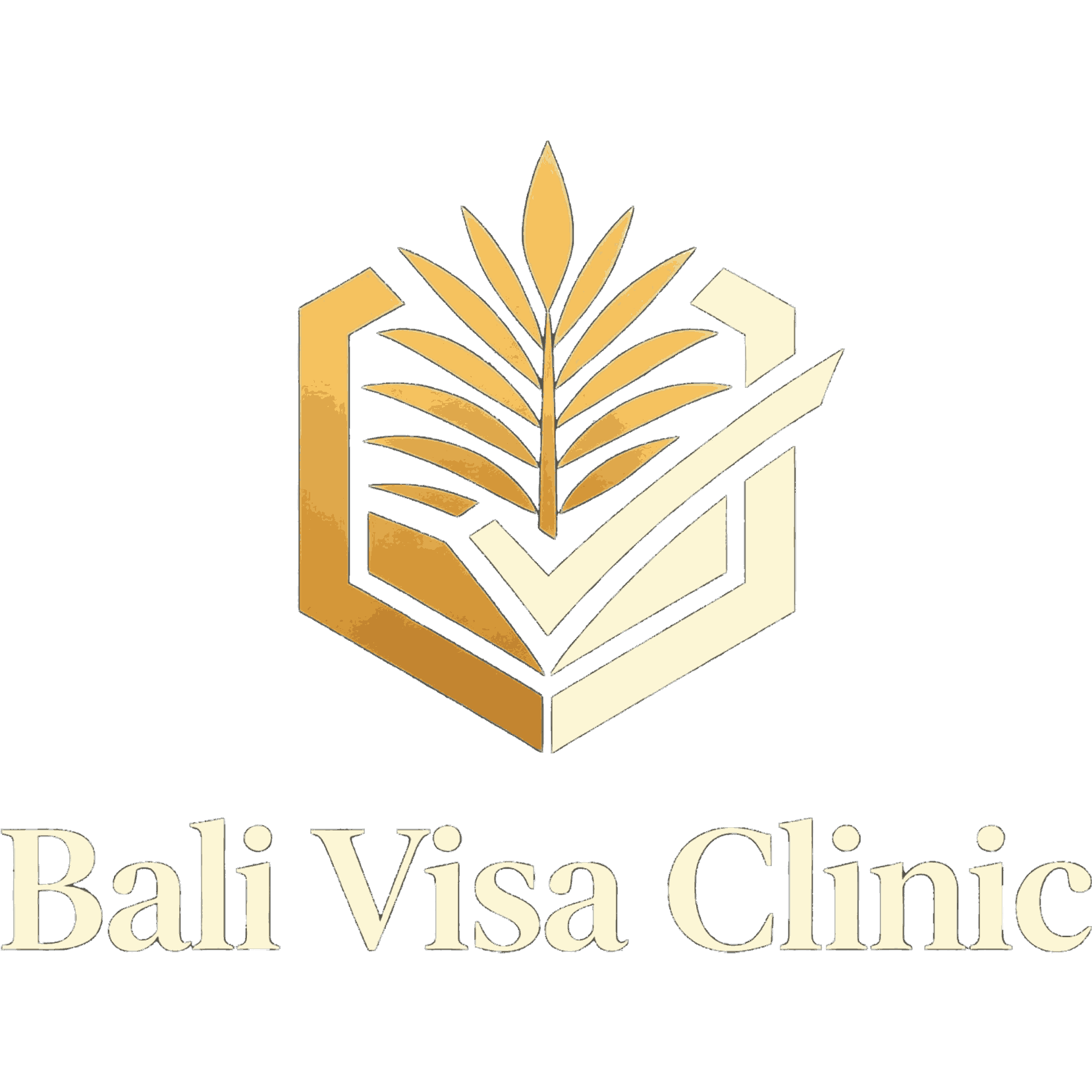 Bali Visa Clinic